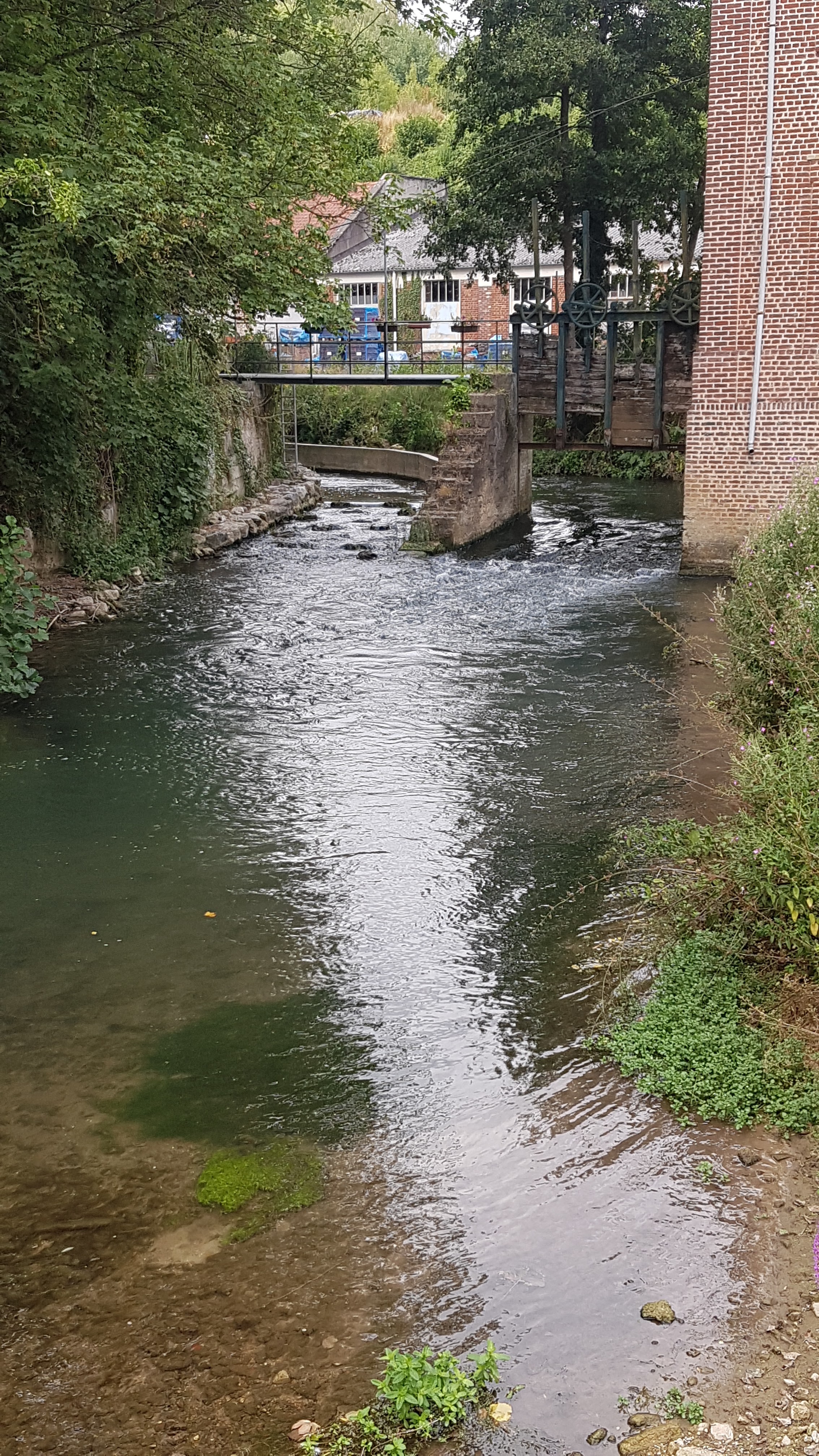 Photo n° 15 de l'avis de Sylvana.� fait le 22/08/2022 à 19:10