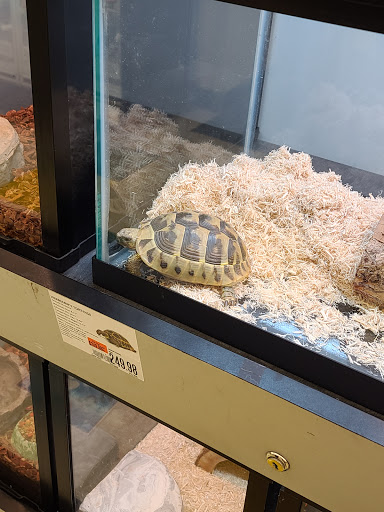 Pet Supply Store «Pet Supplies Plus», reviews and photos, 771 Gap Newport Pike, Avondale, PA 19311, USA