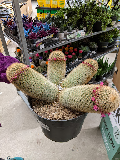 Home Improvement Store «The Home Depot», reviews and photos, 160 Laconia Rd, Tilton, NH 03276, USA