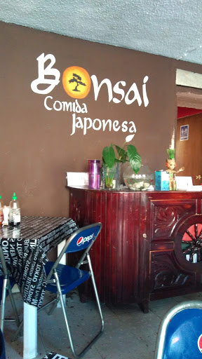 Bonsai Comida Japonesa