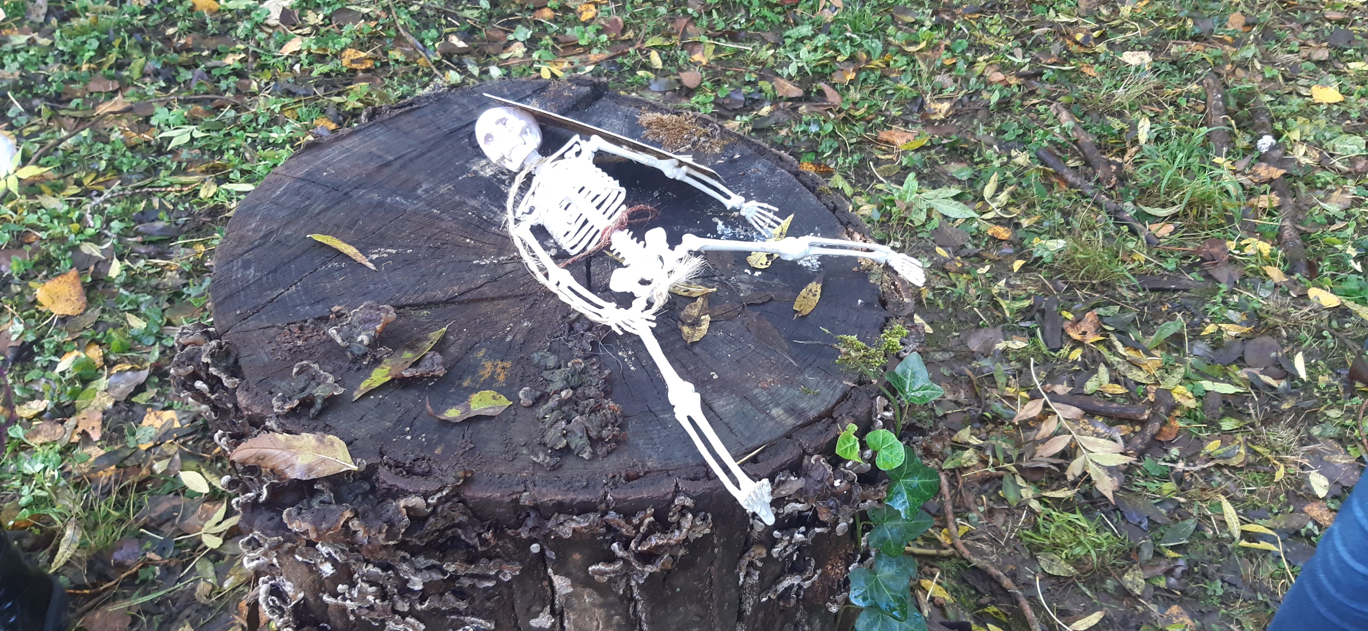 Photo n° 13 de l'avis de Guilain.e fait le 31/10/2023 à 15:28