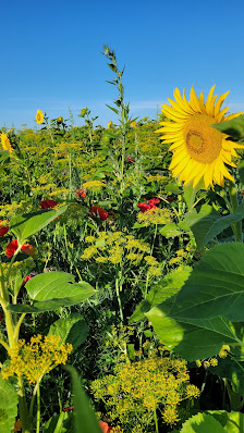 Die Future Construct AG Blumenwiese Markt Schwaben - Wittelsbacher Höhe 85570 Markt Schwaben