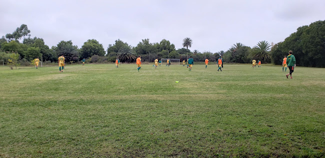 Campo Deportivo - Colegio Misericordista - Gimnasio