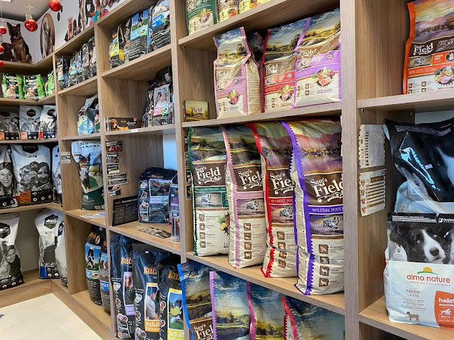 11o ΧΛΜ. ΘΕΣΣΑΛΟΝΙΚΗΣ - ΜΟΥΔΑΝΙΩΝ 11o ΧΛΜ, ΘΕΣΣΑΛΟΝΙΚΗΣ-ΜΟΥΔΑΝΙΩΝ, Θέρμη 570 01