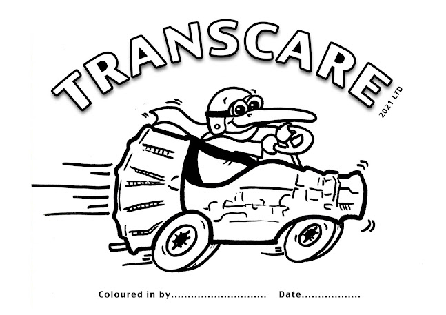 Comments and reviews of Transcare 2021 Ltd