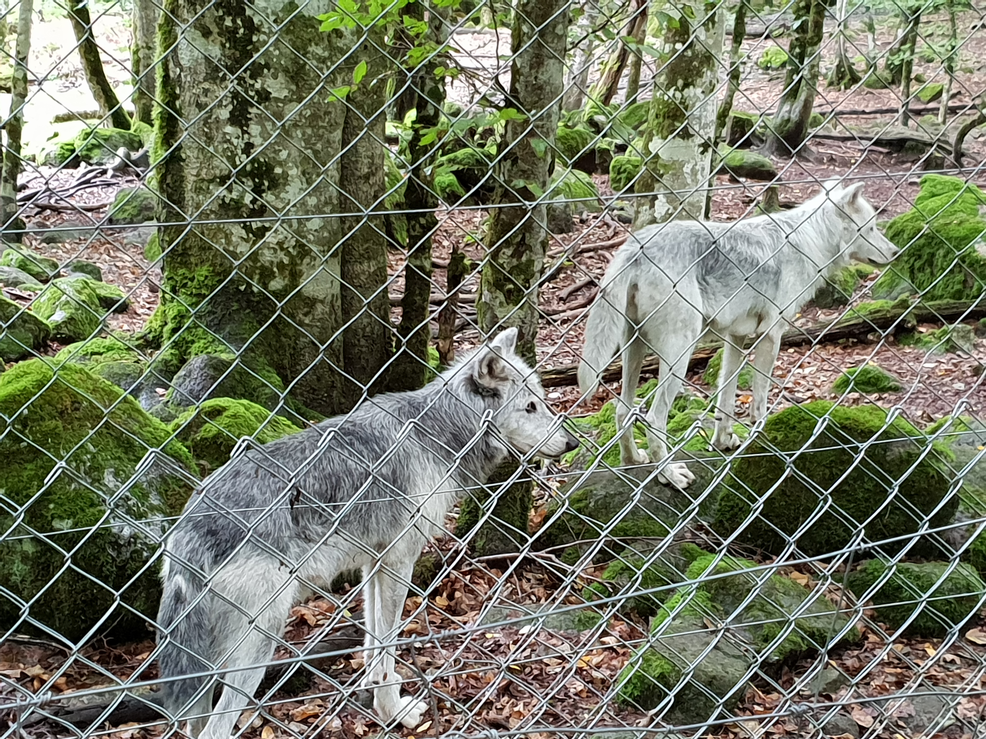 Photo n° 4 de l'avis de Lucie. fait le 13/08/2018 à 19:56