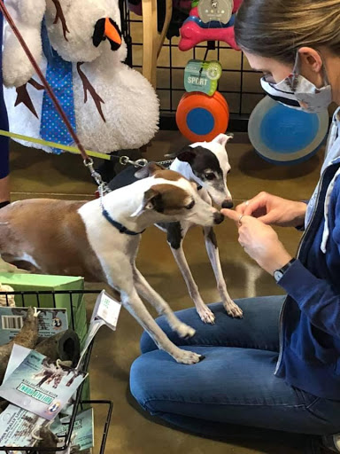 Pet Supply Store «Dog Gone Holistic-SouthShore», reviews and photos, 13131 US-301, Riverview, FL 33578, USA