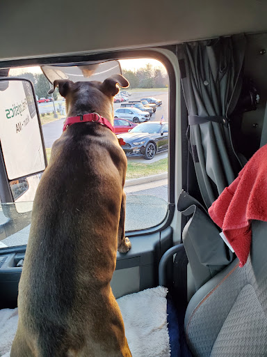 Car Dealer «Eddins Ford», reviews and photos, 2895 S Seminole Trail, Madison, VA 22727, USA