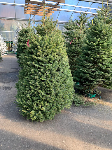 Garden Center «Pike Nurseries», reviews and photos, 615 W Crossville Rd, Roswell, GA 30075, USA