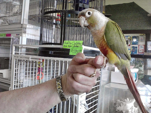 Pet Store «Pettin Place», reviews and photos, 1121 S Wells Ave, Reno, NV 89502, USA