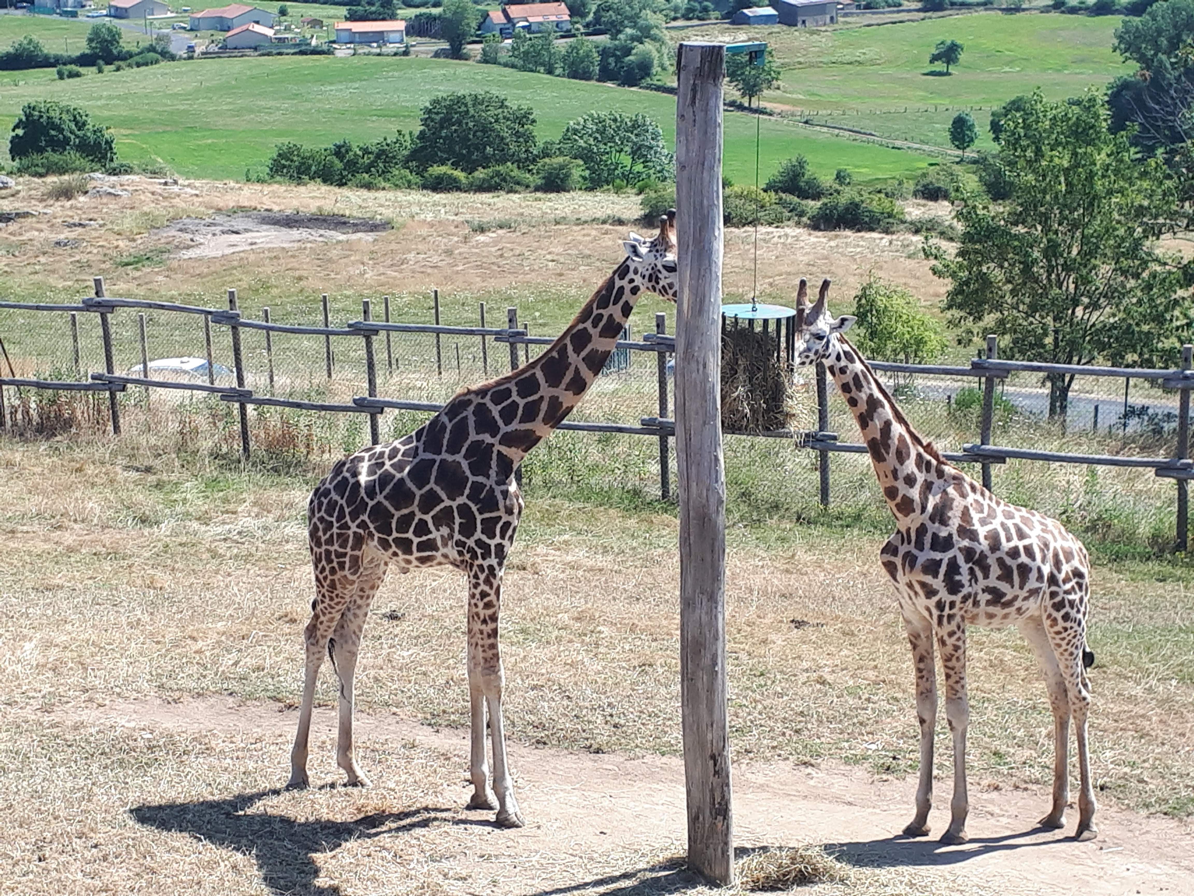 Photo n° 5 de l'avis de Mi.e fait le 05/08/2018 à 16:30