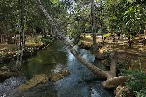 Cabeceira Do Betione - Ecoturismo image