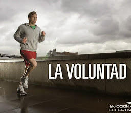 NEXT EVOLUTION GYM photo