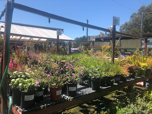 Hardware Store «Goodman Building Sply Co», reviews and photos, 775 Redwood Hwy, Mill Valley, CA 94941, USA