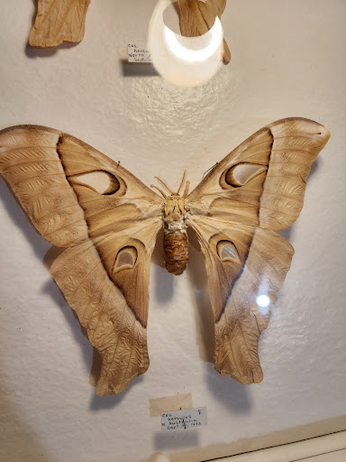 Museum «May Natural History Museum», reviews and photos, 710 Rock Creek Canyon Rd, Colorado Springs, CO 80926, USA