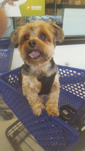 Pet Supply Store «PetSmart», reviews and photos, 475 Bank St, Waterbury, CT 06708, USA