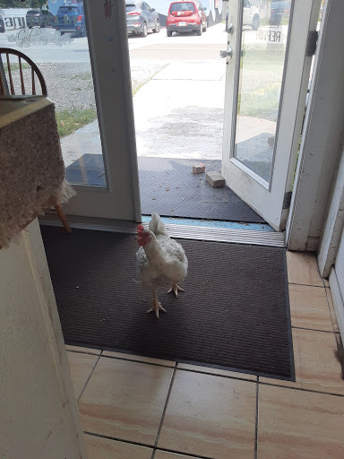 Computer Repair Service «Mark Skelly Computers», reviews and photos, 4007 Flamingo Dr, New Port Richey, FL 34652, USA