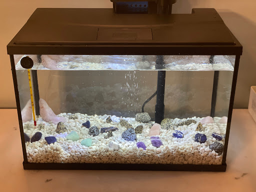 Pet Supply Store «PetSmart», reviews and photos, 20530 E 13 Mile Rd, Roseville, MI 48066, USA