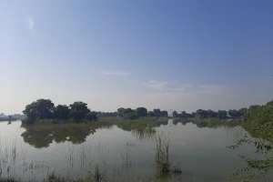 Langh Lake Wildlife Sanctuary, لنگھ ڍنڍ image