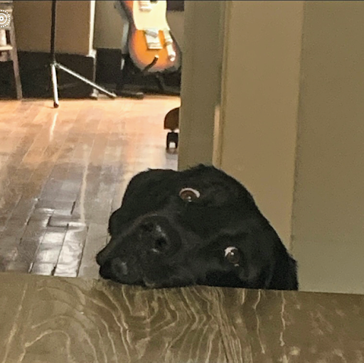 Insurance Agency «Jeff Summers - State Farm Insurance Agent», reviews and photos