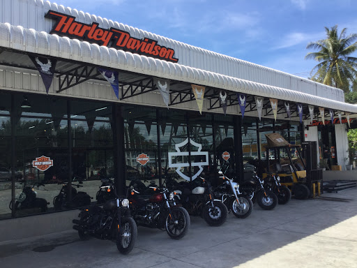 Harley Davidson of Phuket