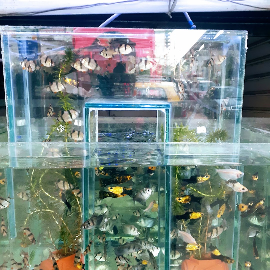 Deepa Aquarium
