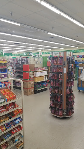 Dollar Store «Dollar Tree», reviews and photos, 4920 Allen Rd, Zephyrhills, FL 33541, USA