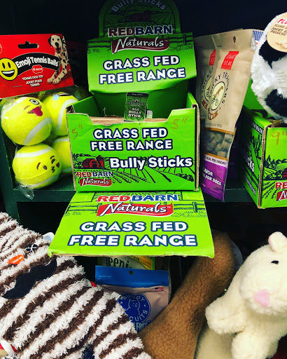 Health Food Store «Wild Oats Health Food Store», reviews and photos, 12 West St, Beverly, MA 01915, USA