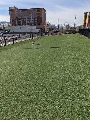 Biggest Little Dog Park