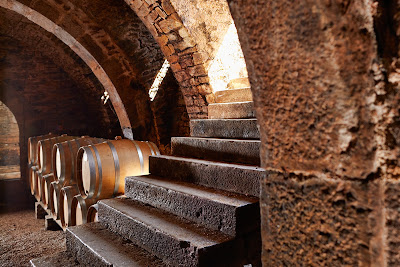 Domaine Rolet à Arbois