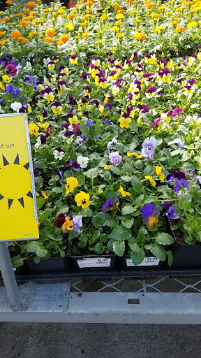 Home Improvement Store «The Home Depot», reviews and photos, 325 120th Ave NE, Bellevue, WA 98005, USA