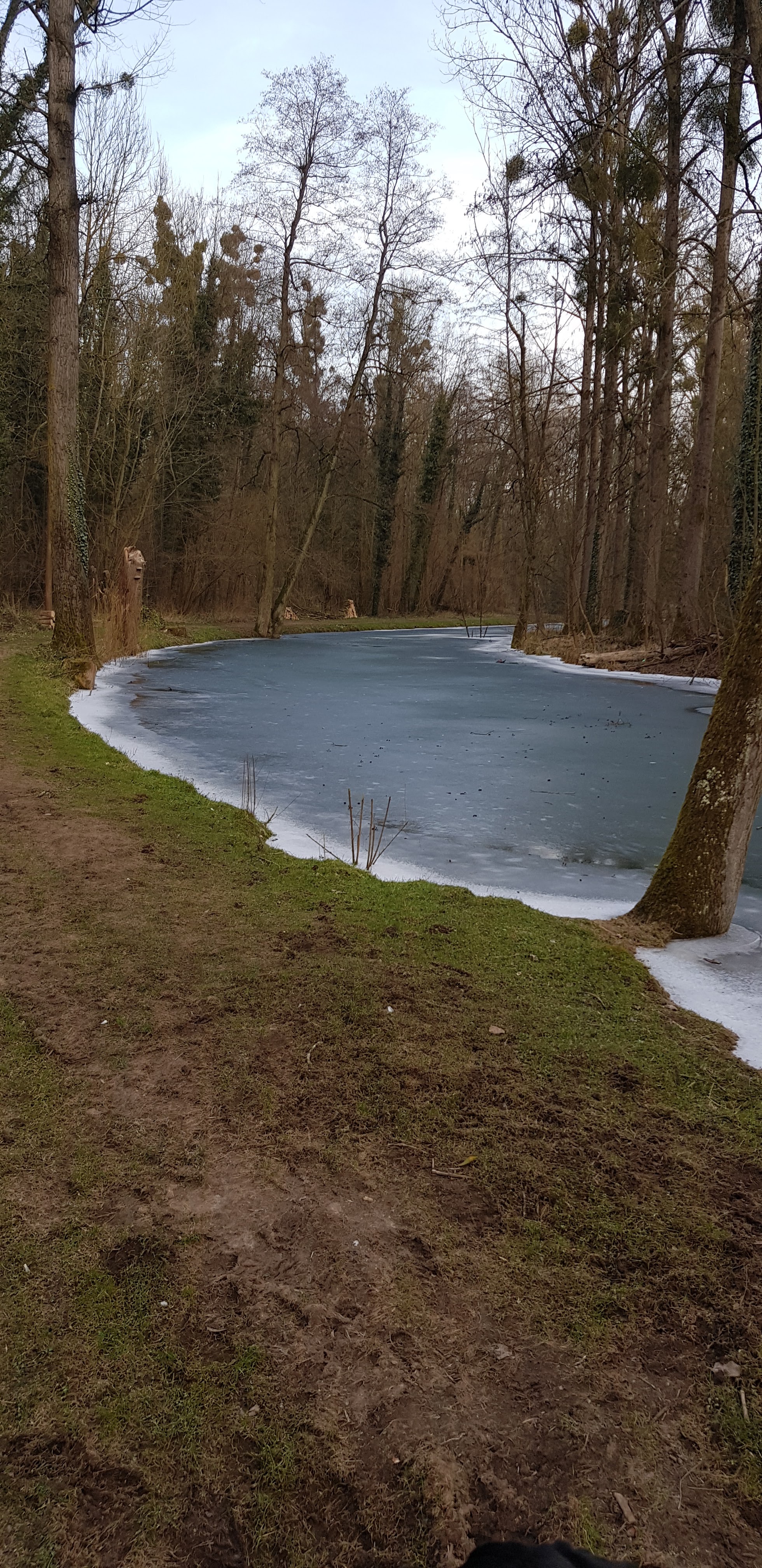 Photo n° 2 de l'avis de Pierre.a fait le 05/03/2018 à 11:36