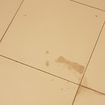 Photo n°4 de l'avis de Saray.a fait le 21/04/2018 à 23:08 sur le  Colina Village Hotel à Carvoeiro