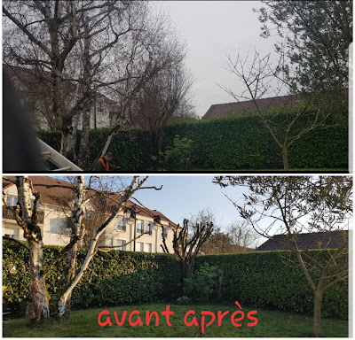 Jardinier élagueur mr schtenegry à Brétigny-sur-Orge