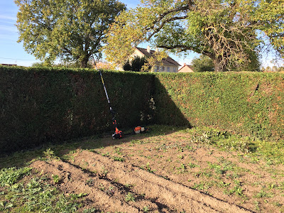 Élagueur Paysagiste à Nevers