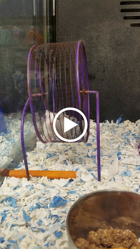 Pet Supply Store «PetSmart», reviews and photos, 1140 W Elliot Rd, Tempe, AZ 85284, USA