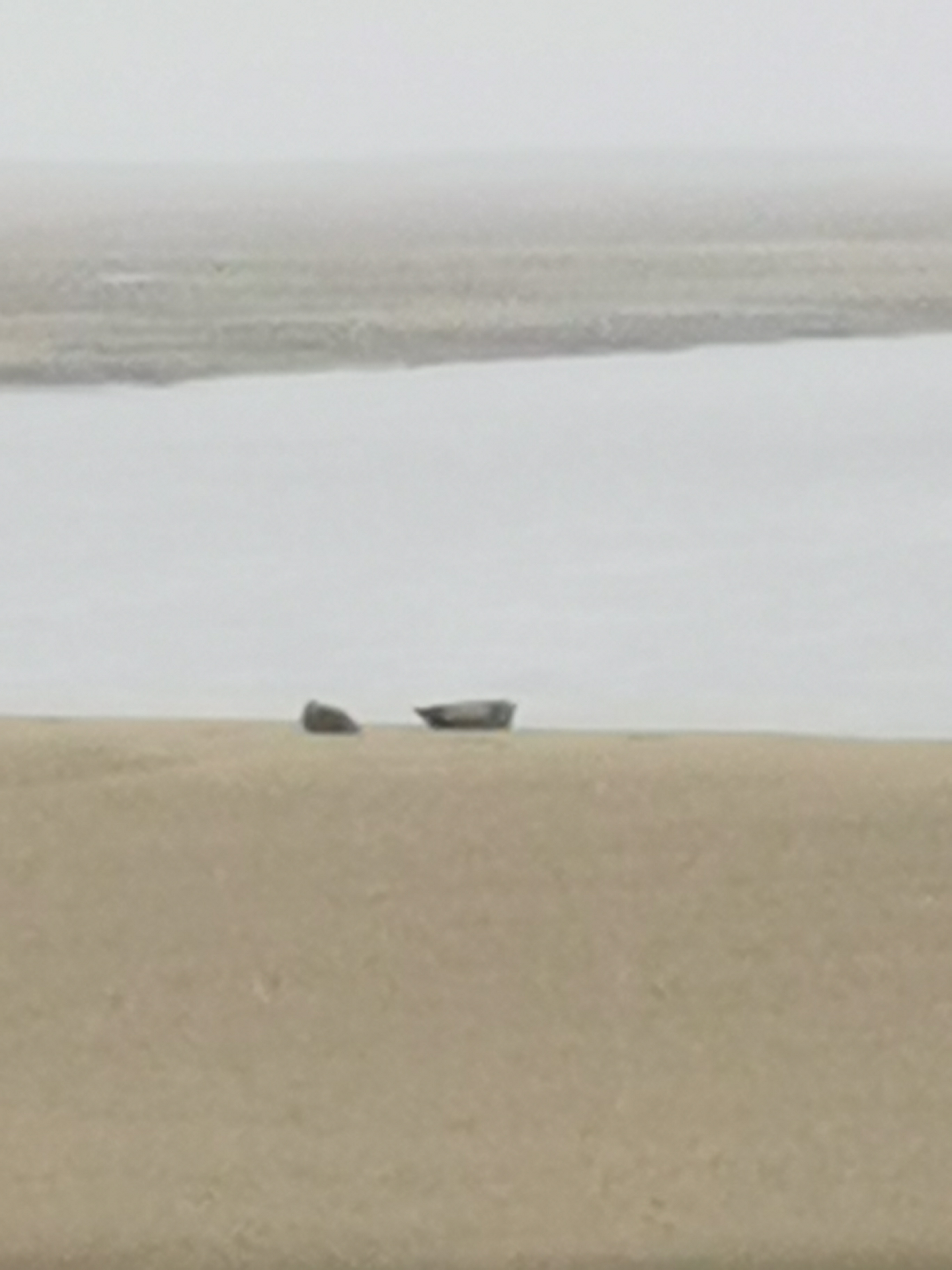 Photo n° 5 de l'avis de Pigny.e fait le 19/05/2022 à 17:42