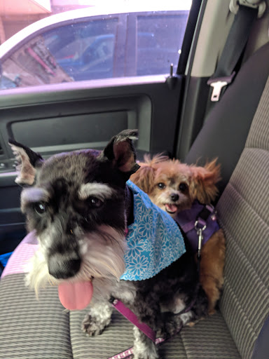 Pet Groomer «Woof Gang Bakery Rockwall», reviews and photos, 832 Steger Towne Rd, Rockwall, TX 75032, USA