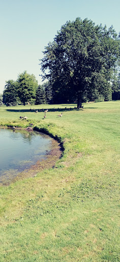 Golf Club «Bedford Hills Golf Club», reviews and photos, 6400 Jackman Rd, Temperance, MI 48182, USA