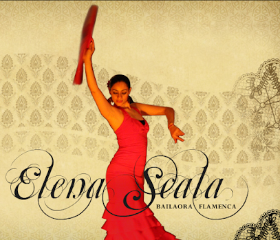 Show Flamenco Para Eventos