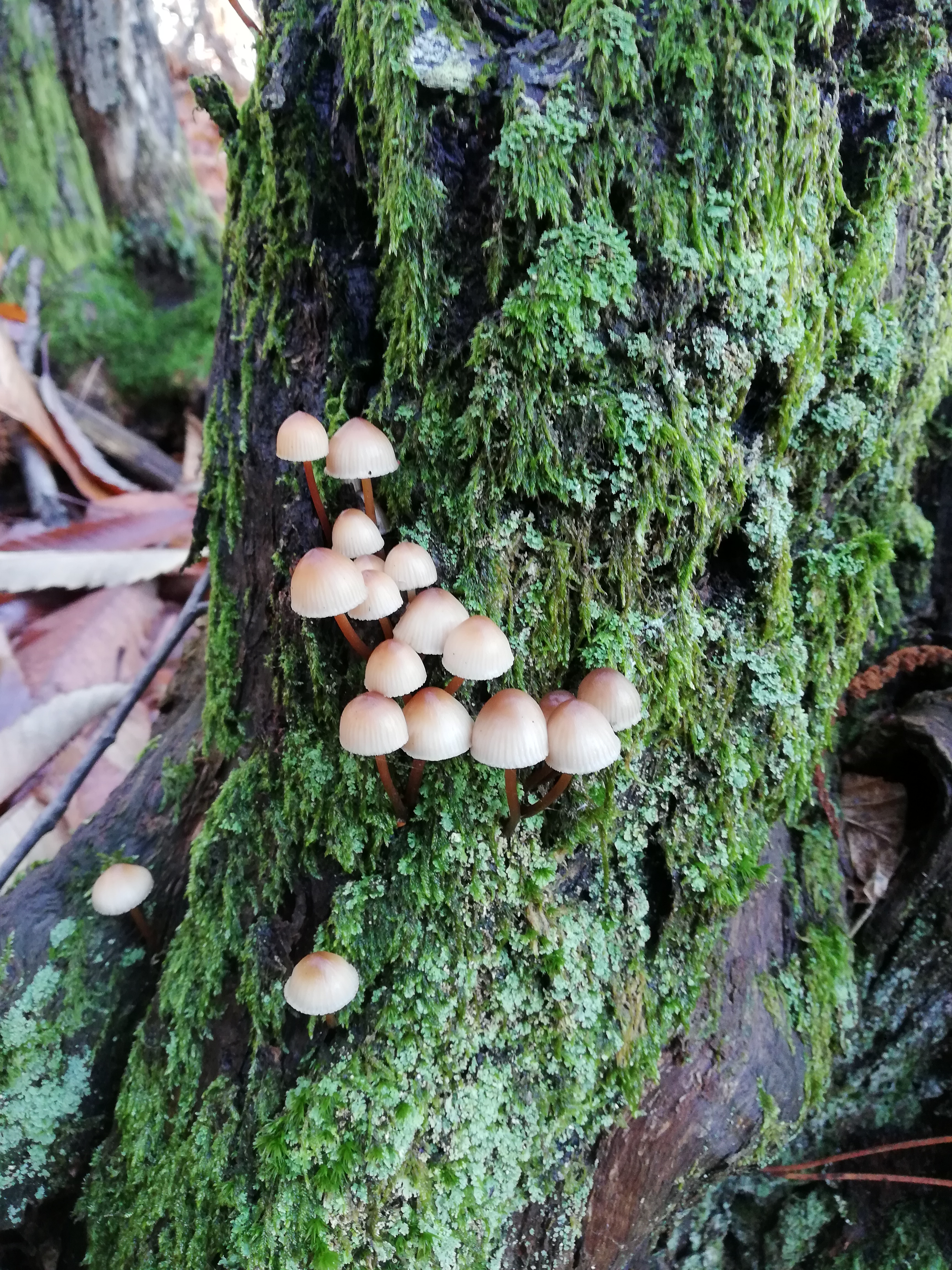 Photo n° 1 de l'avis de Tiphaine. fait le 30/11/2018 à 21:52