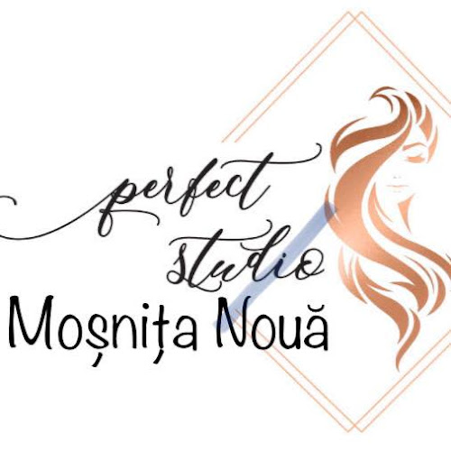 Perfect Studio Mosnita Noua - <nil>