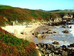 Playa del Valle'in fotoğrafı küçük koy ile birlikte
