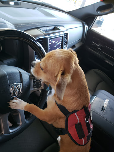 Car Dealer «Hanlees Chrysler Dodge Jeep Ram of Napa», reviews and photos, 333 Soscol Ave, Napa, CA 94559, USA