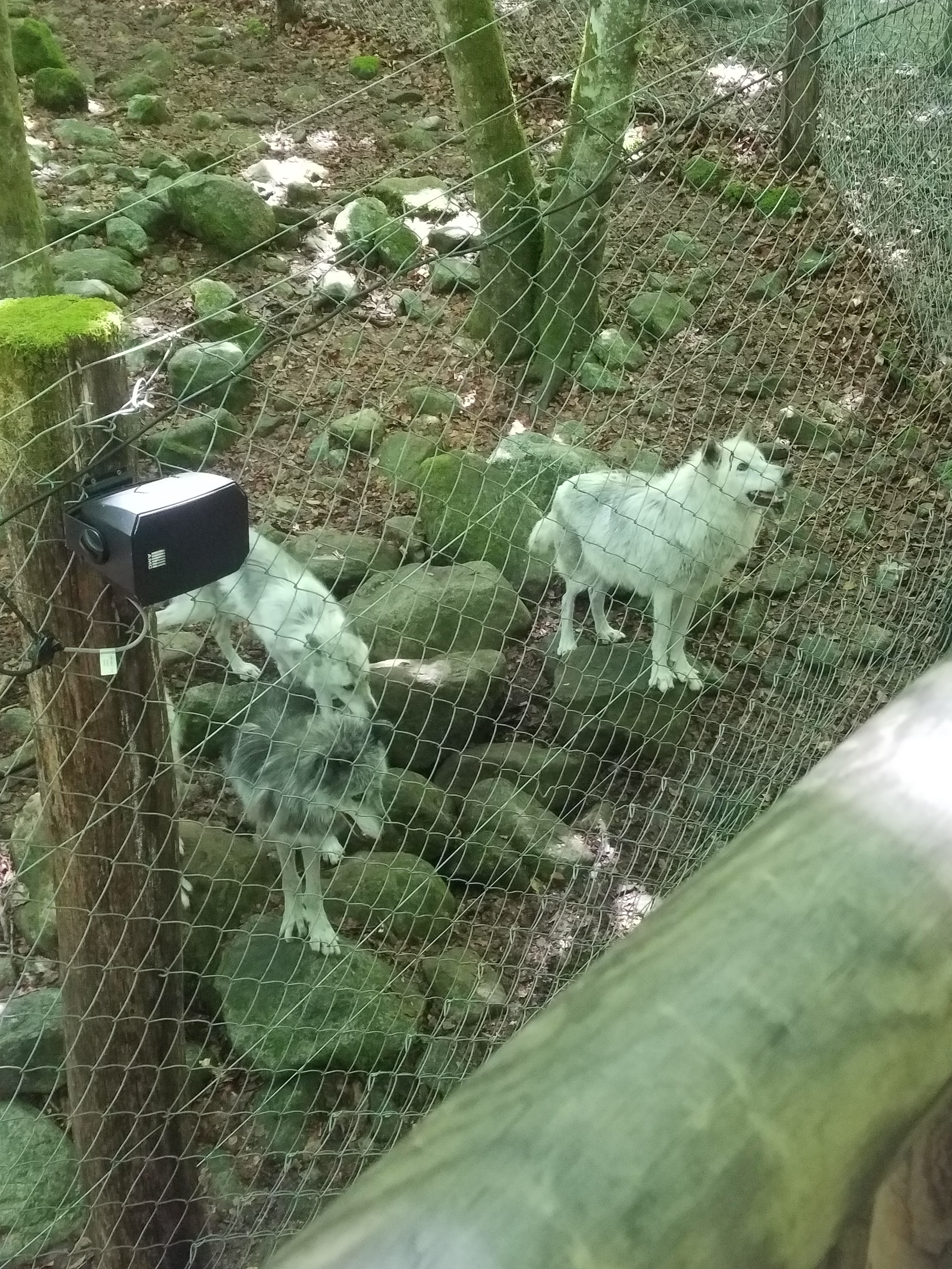 Photo n° 4 de l'avis de Julie.i fait le 03/07/2019 à 14:26