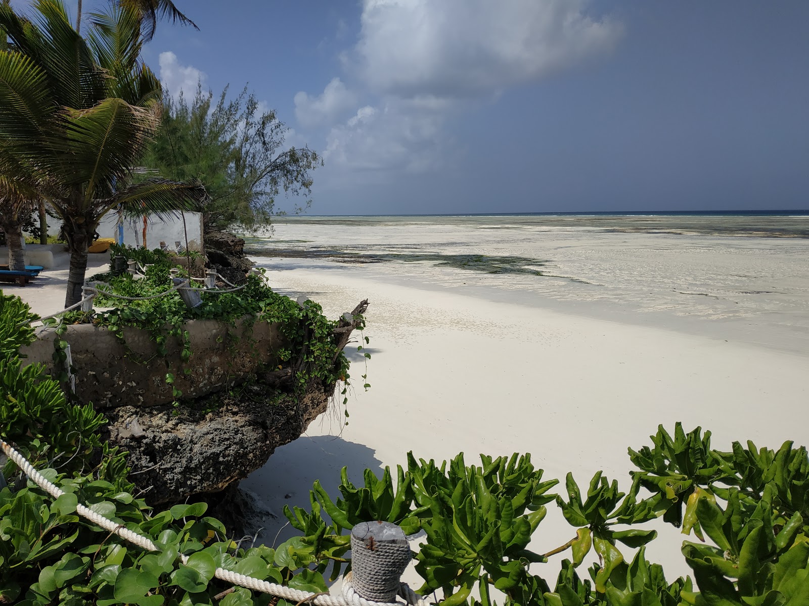 Kizimkazi Beach photo #8