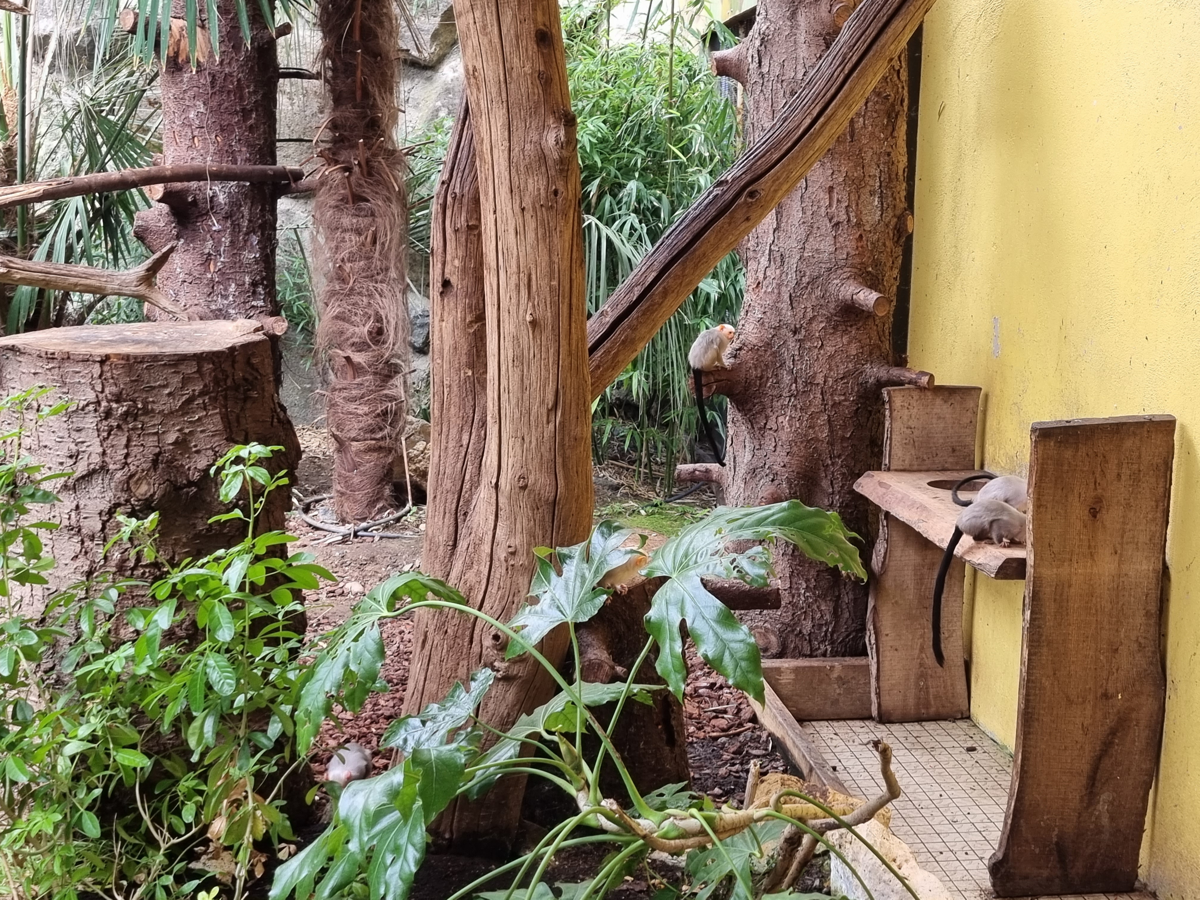 Photo n° 16 de l'avis de alexandre.o fait le 25/08/2022 à 15:51