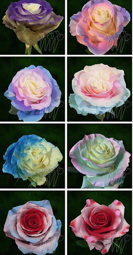 Florist «LV Flower Events», reviews and photos, 6331 Avenue N, Brooklyn, NY 11234, USA