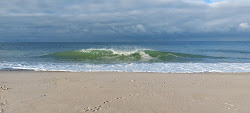 Photo de Lyngby Beach zone des équipements
