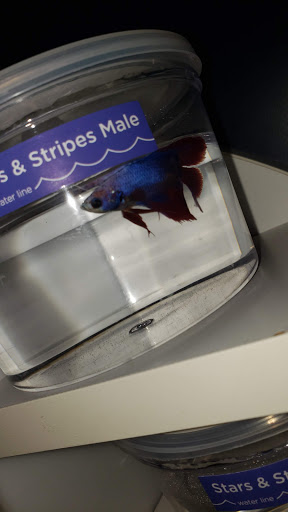 Pet Supply Store «Petco Animal Supplies», reviews and photos, 6025 Kruse Dr #159, Solon, OH 44139, USA